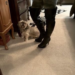 Beautiful sexy over the knee boots